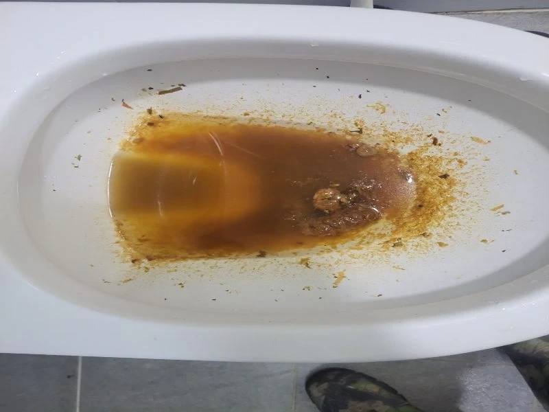 판교 변기막힘 작업사례 5