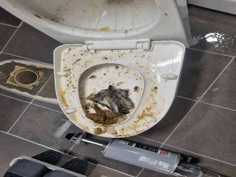 판교 변기막힘 작업사례 19