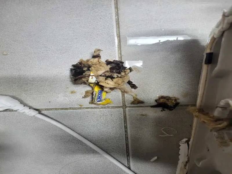 판교 변기 이물질 제거 사례 5